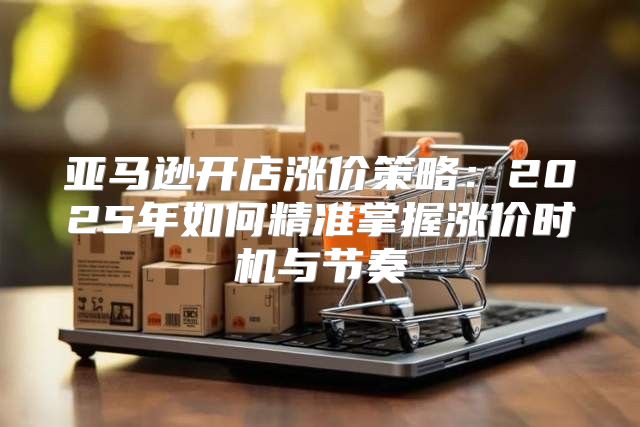 亚马逊开店涨价策略：2025年如何精准掌握涨价时机与节奏
