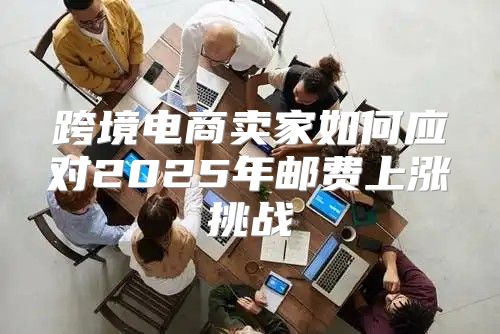 跨境电商卖家如何应对2025年邮费上涨挑战