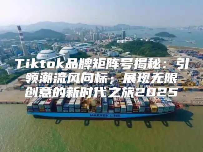 Tiktok品牌矩阵号揭秘：引领潮流风向标，展现无限创意的新时代之旅2025