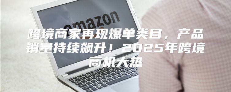跨境商家再现爆单类目，产品销量持续飙升！2025年跨境商机大热