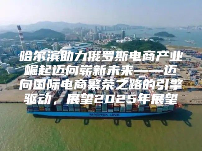 哈尔滨助力俄罗斯电商产业崛起迈向崭新未来——迈向国际电商繁荣之路的引擎驱动，展望2025年展望