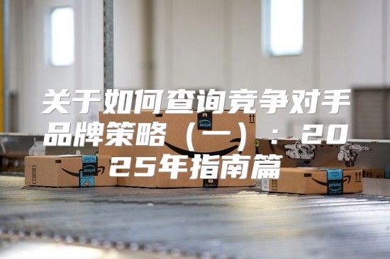 关于如何查询竞争对手品牌策略一：2025年指南篇