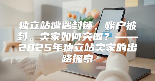 独立站遭遇封锁，账户被封，卖家如何突围？——2025年独立站卖家的出路探索