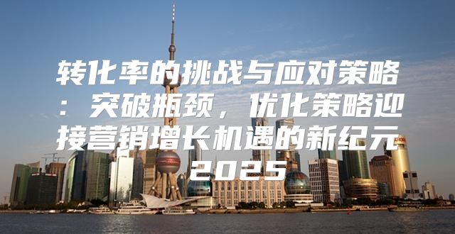 转化率的挑战与应对策略：突破瓶颈，优化策略迎接营销增长机遇的新纪元 2025