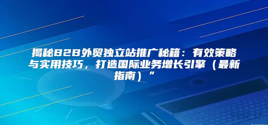 揭秘B2B外贸独立站推广秘籍：有效策略与实用技巧，打造国际业务增长引擎最新指南”