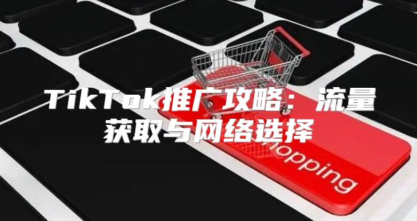 TikTok推广攻略：流量获取与网络选择