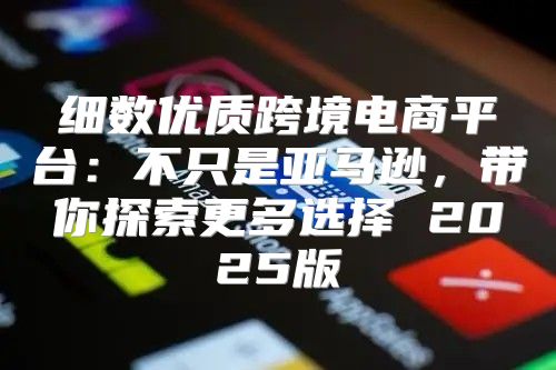 细数优质跨境电商平台：不只是亚马逊，带你探索更多选择 2025版