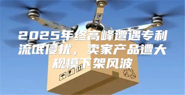 2025年终高峰遭遇专利流氓侵扰，卖家产品遭大规模下架风波