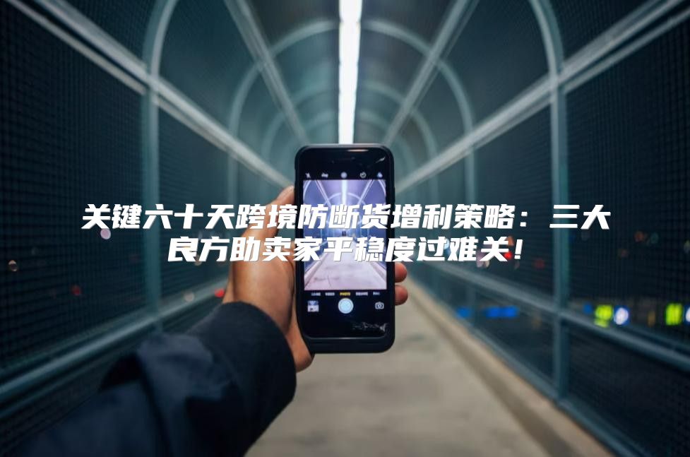 关键六十天跨境防断货增利策略：三大良方助卖家平稳度过难关！