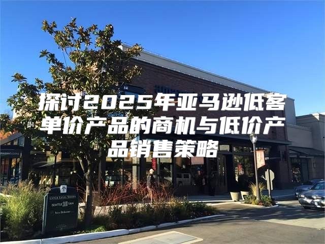 探讨2025年亚马逊低客单价产品的商机与低价产品销售策略