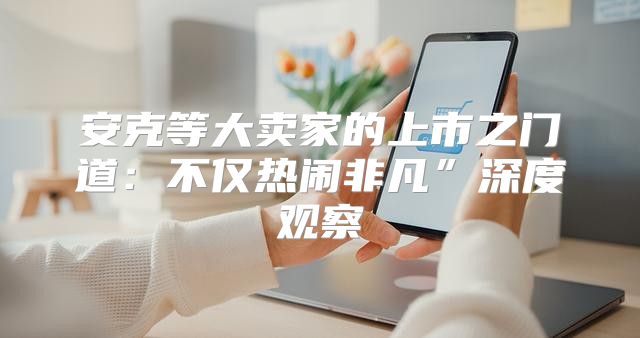 安克等大卖家的上市之门道：不仅热闹非凡”深度观察