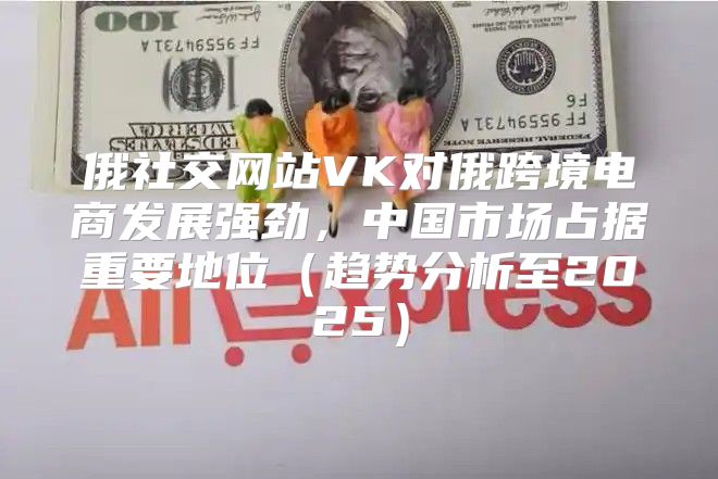 俄社交网站VK对俄跨境电商发展强劲，中国市场占据重要地位趋势分析至2025