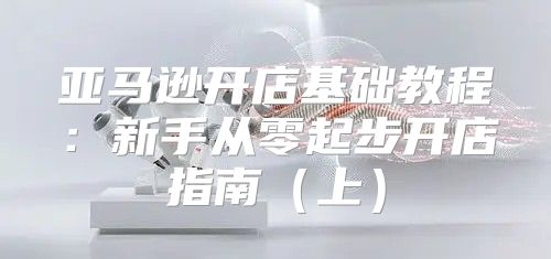 亚马逊开店基础教程：新手从零起步开店指南上