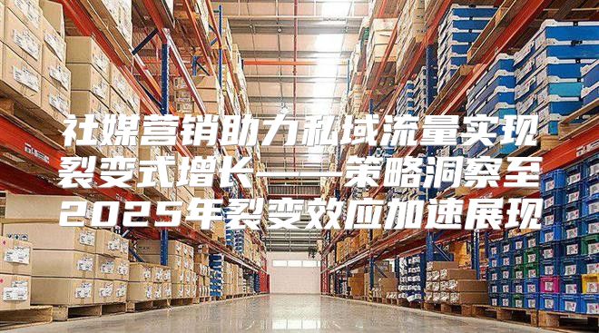 社媒营销助力私域流量实现裂变式增长——策略洞察至2025年裂变效应加速展现