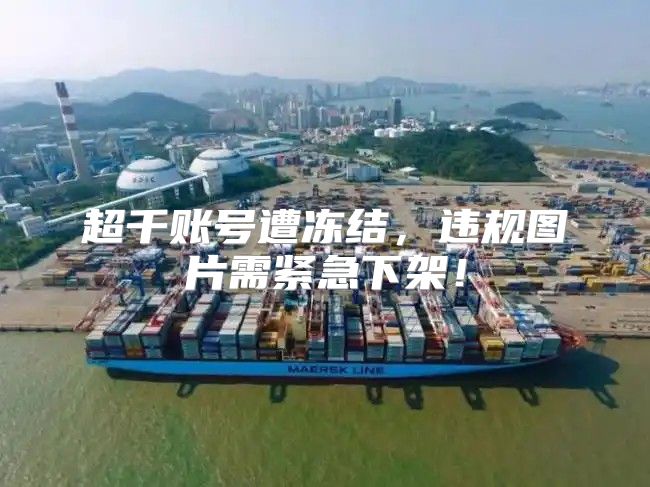 超千账号遭冻结，违规图片需紧急下架！