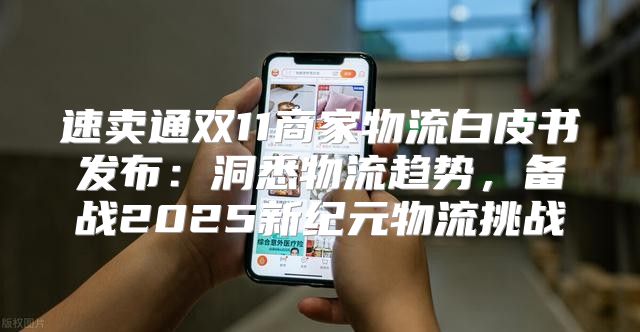 速卖通双11商家物流白皮书发布：洞悉物流趋势，备战2025新纪元物流挑战
