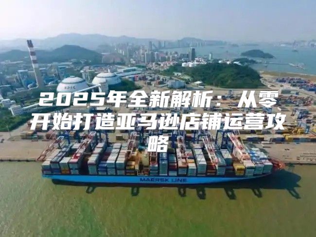 2025年全新解析：从零开始打造亚马逊店铺运营攻略