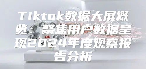 Tiktok数据大屏概览：聚焦用户数据呈现2025年度观察报告分析