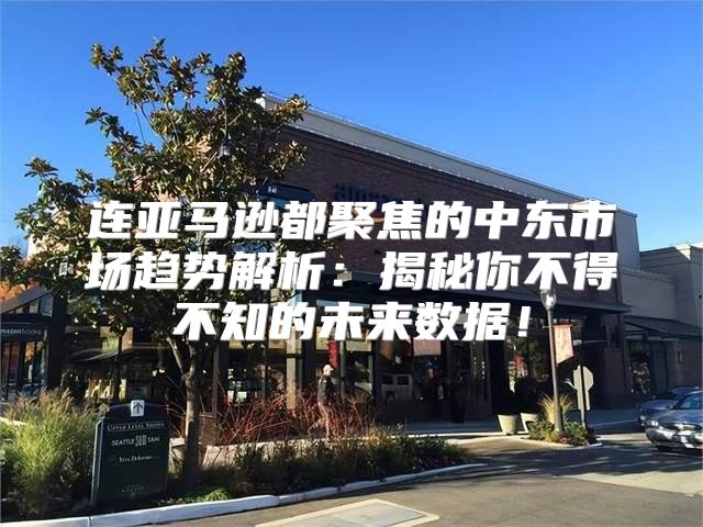 连亚马逊都聚焦的中东市场趋势解析：揭秘你不得不知的未来数据！
