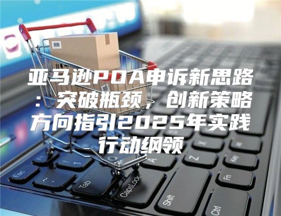 亚马逊POA申诉新思路：突破瓶颈，创新策略方向指引2025年实践行动纲领