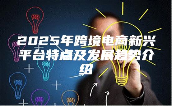 2025年跨境电商新兴平台特点及发展趋势介绍