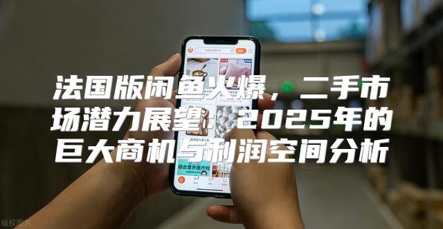 法国版闲鱼火爆，二手市场潜力展望：2025年的巨大商机与利润空间分析