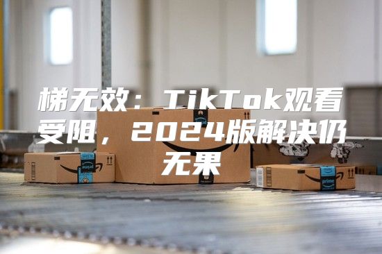 梯无效：TikTok观看受阻，2025版解决仍无果
