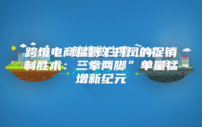 跨境电商猛将丁丹凤的促销制胜术：三拳两脚”单量猛增新纪元