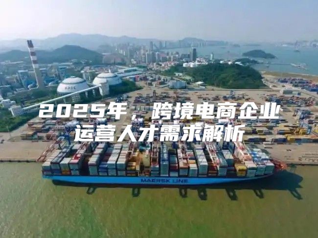 2025年，跨境电商企业运营人才需求解析
