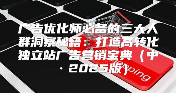 广告优化师必备的三大人群洞察秘籍：打造高转化独立站广告营销宝典中·2025版