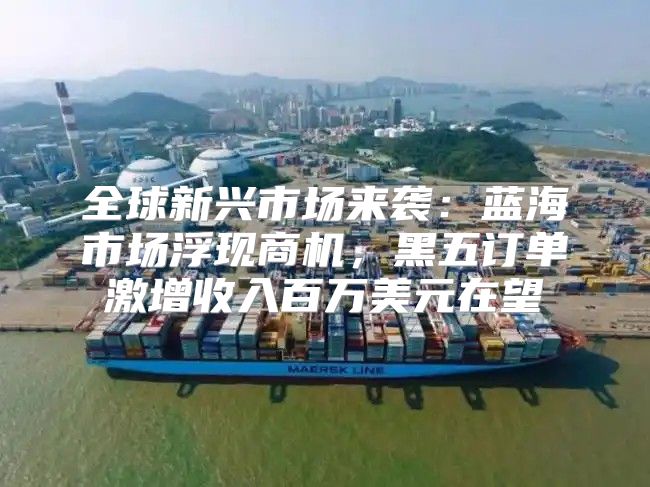 全球新兴市场来袭：蓝海市场浮现商机，黑五订单激增收入百万美元在望
