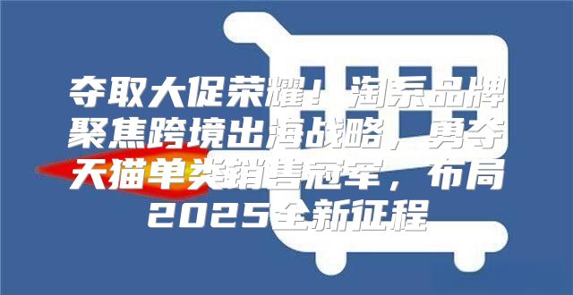 夺取大促荣耀！淘系品牌聚焦跨境出海战略，勇夺天猫单类销售冠军，布局2025全新征程