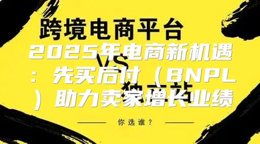 2025年电商新机遇：先买后付BNPL助力卖家增长业绩
