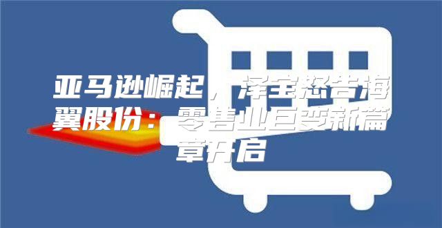 亚马逊崛起，泽宝怒告海翼股份：零售业巨变新篇章开启