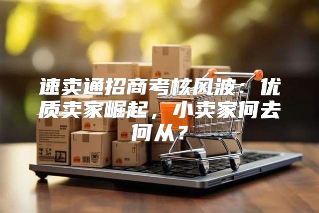 速卖通招商考核风波：优质卖家崛起，小卖家何去何从？
