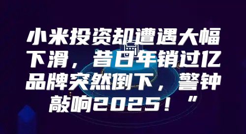 小米投资却遭遇大幅下滑，昔日年销过亿品牌突然倒下，警钟敲响2025！”