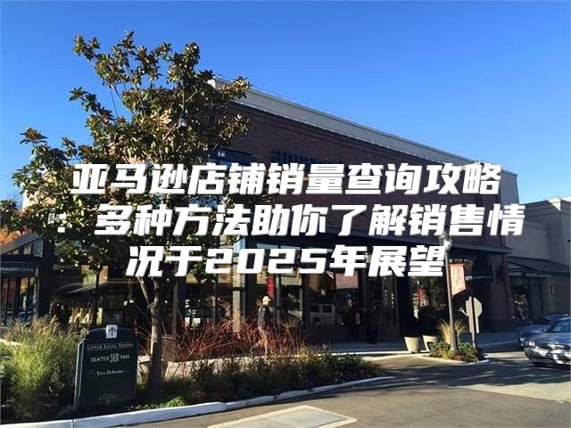 亚马逊店铺销量查询攻略：多种方法助你了解销售情况于2025年展望