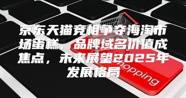 京东天猫竞相争夺海淘市场蛋糕，品牌域名价值成焦点，未来展望2025年发展格局