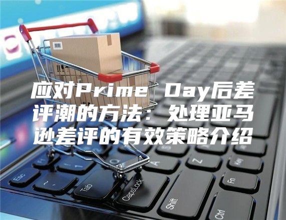 应对Prime Day后差评潮的方法：处理亚马逊差评的有效策略介绍