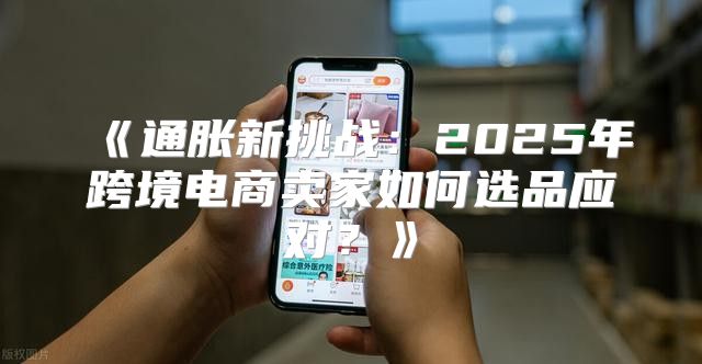通胀新挑战：2025年跨境电商卖家如何选品应对？