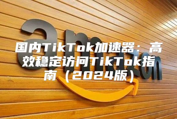 国内TikTok加速器：高效稳定访问TikTok指南2025版