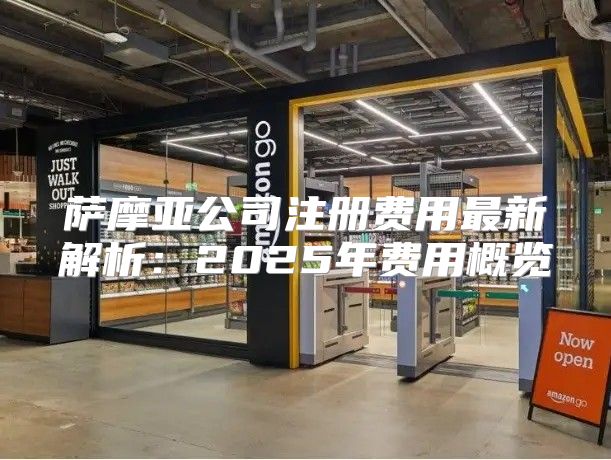 萨摩亚公司注册费用最新解析：2025年费用概览