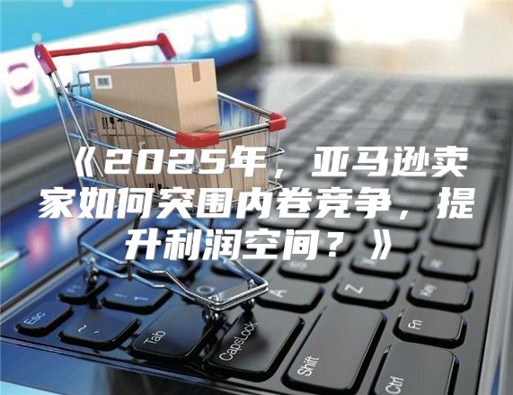 2025年，亚马逊卖家如何突围内卷竞争，提升利润空间？