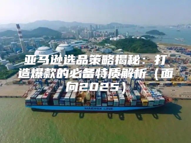 亚马逊选品策略揭秘：打造爆款的必备特质解析面向2025