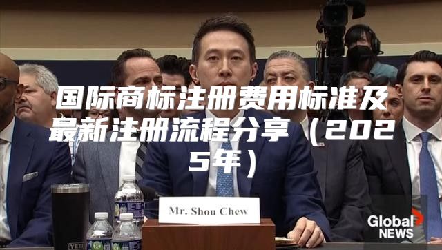 国际商标注册费用标准及最新注册流程分享2025年