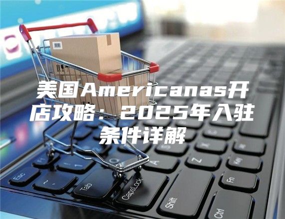 美国Americanas开店攻略：2025年入驻条件详解
