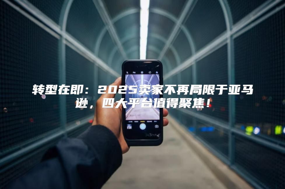 转型在即：2025卖家不再局限于亚马逊，四大平台值得聚焦！