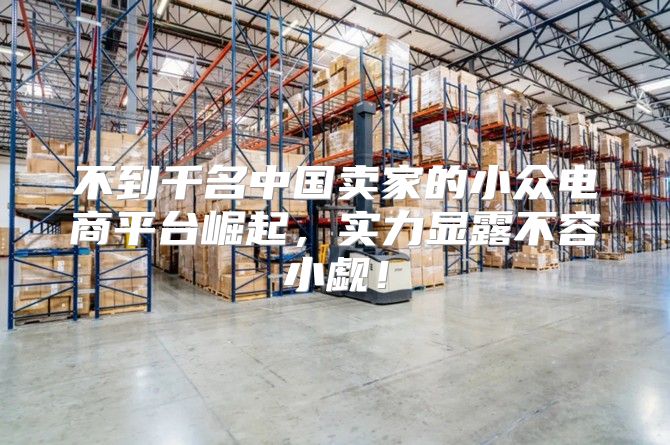 不到千名中国卖家的小众电商平台崛起，实力显露不容小觑！