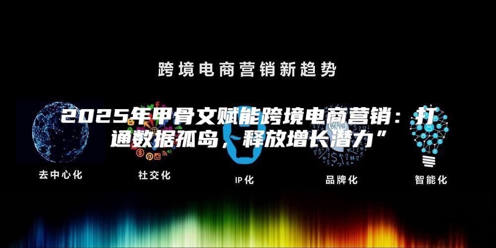 2025年甲骨文赋能跨境电商营销：打通数据孤岛，释放增长潜力”