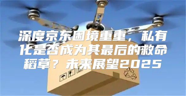 深度京东困境重重，私有化是否成为其最后的救命稻草？未来展望2025